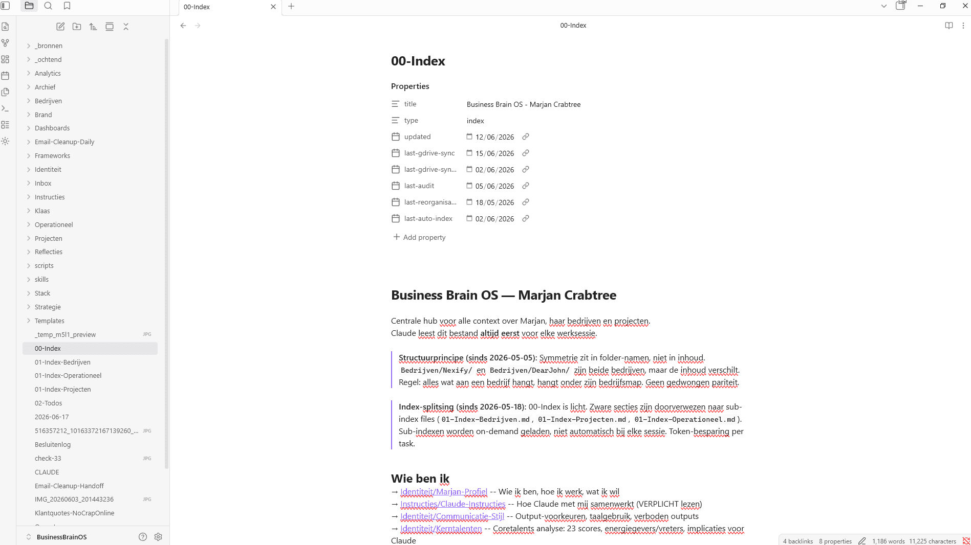 Een geopend tekstbestand uit een Business Brain OS in een editor